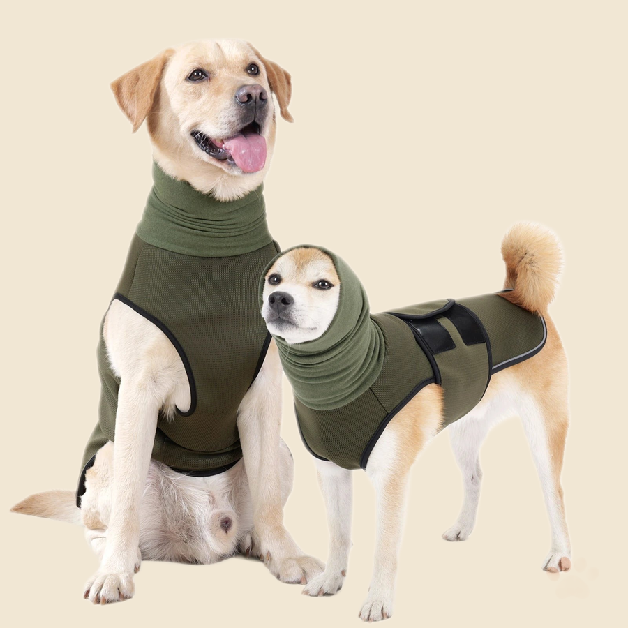 Denwell Calming Anxiety Vest in Green, two dogs modeling front and side views, on cream background