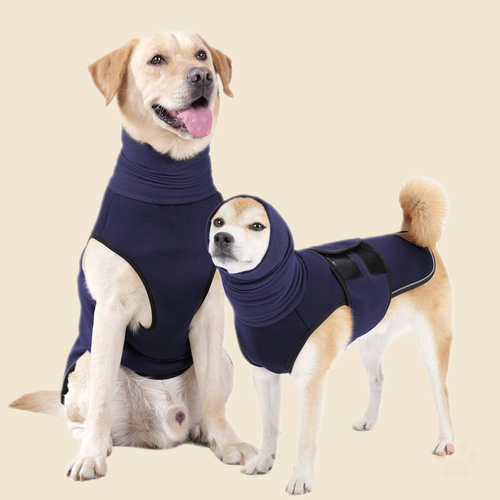 Denwell Calming Anxiety Vest in Navy, two dogs modeling front and side views, on cream background