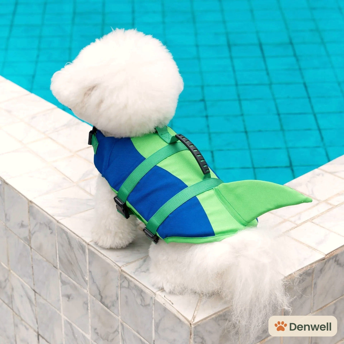 Denwell Pet Swimming Life Jacket - dog wearing blue/green vest poolside