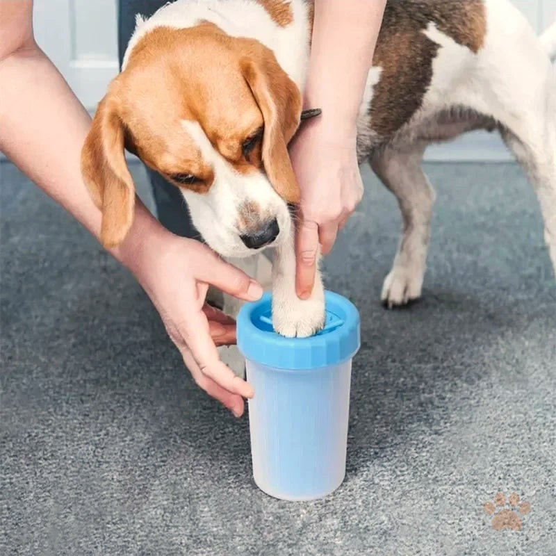 Beagle getting mess-free paw cleaning with the Denwell Paw Cleaner Cup