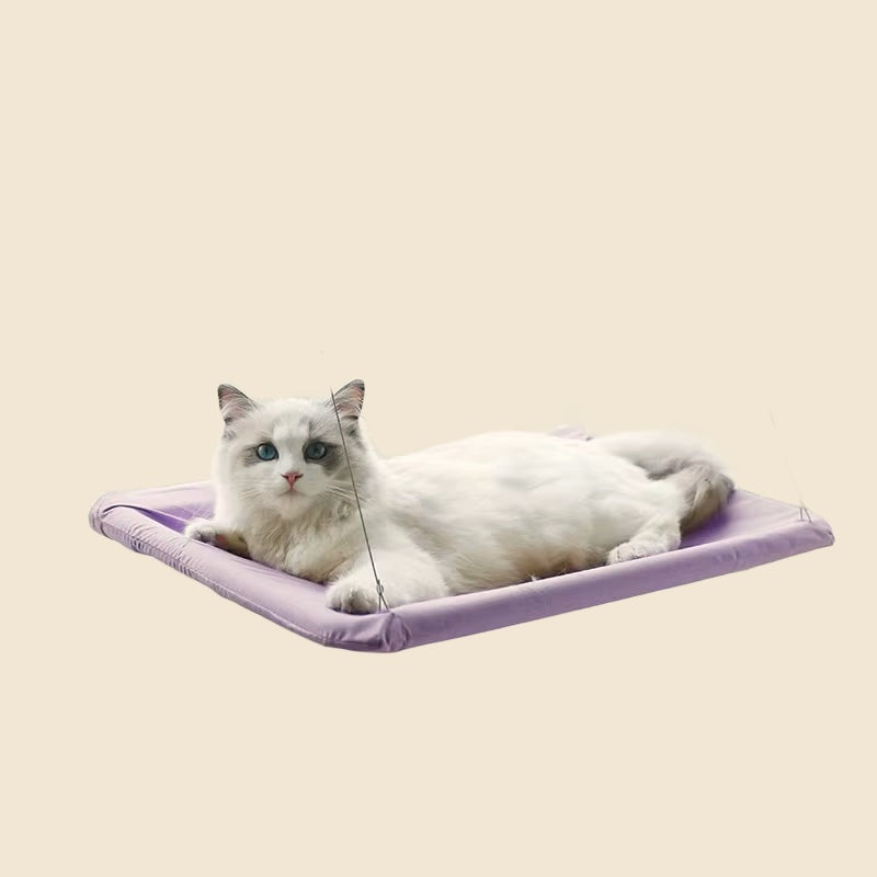 Denwell hanging cat hammock in Purple, on cream background